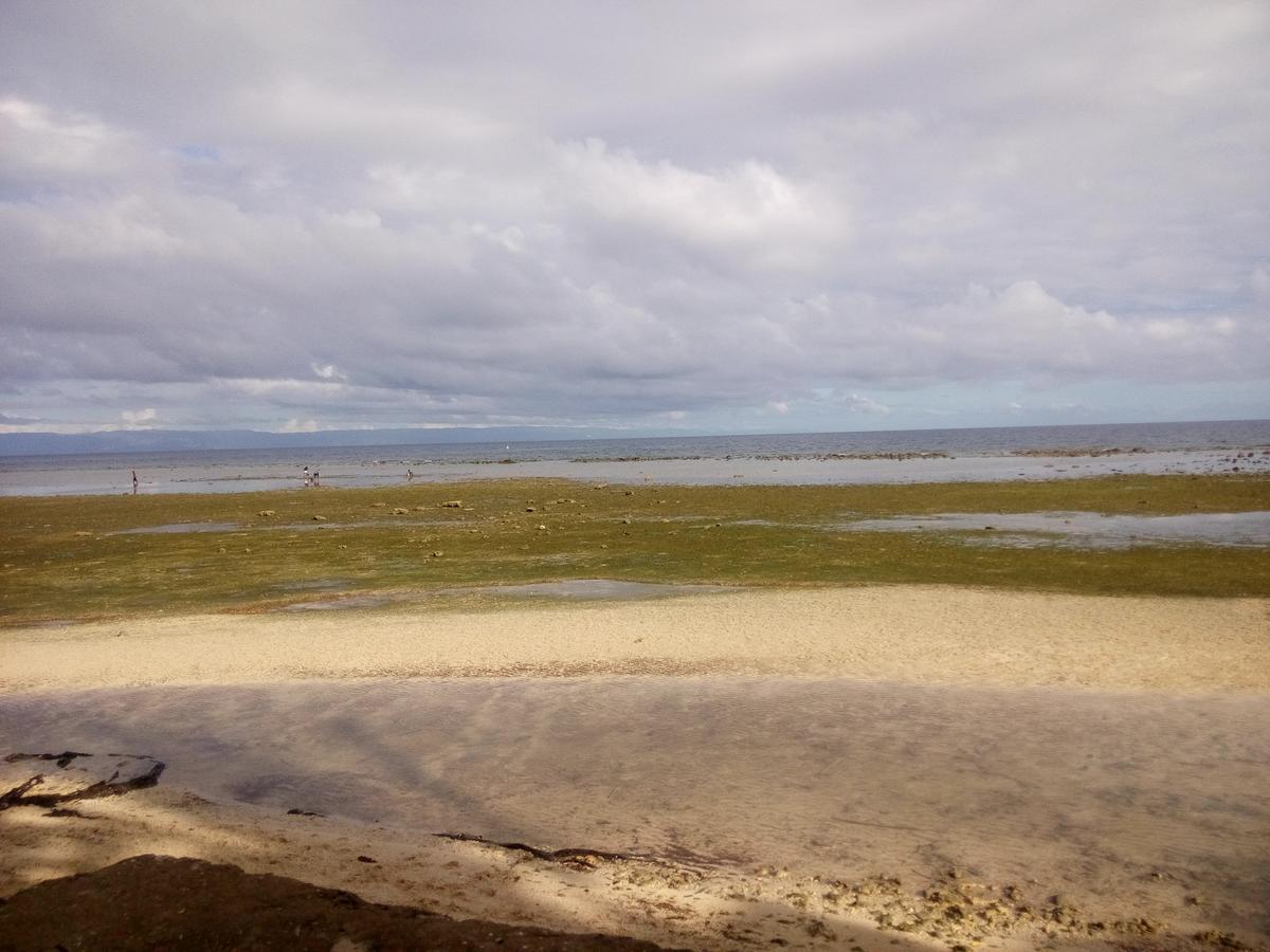 La Villa Alta Siquijor Eksteriør billede